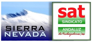 LOGO SIERRA NEVADA