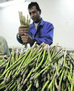 Campaña de difusión del convenio de manipulado de frutas y&nbsp;hortalizas.