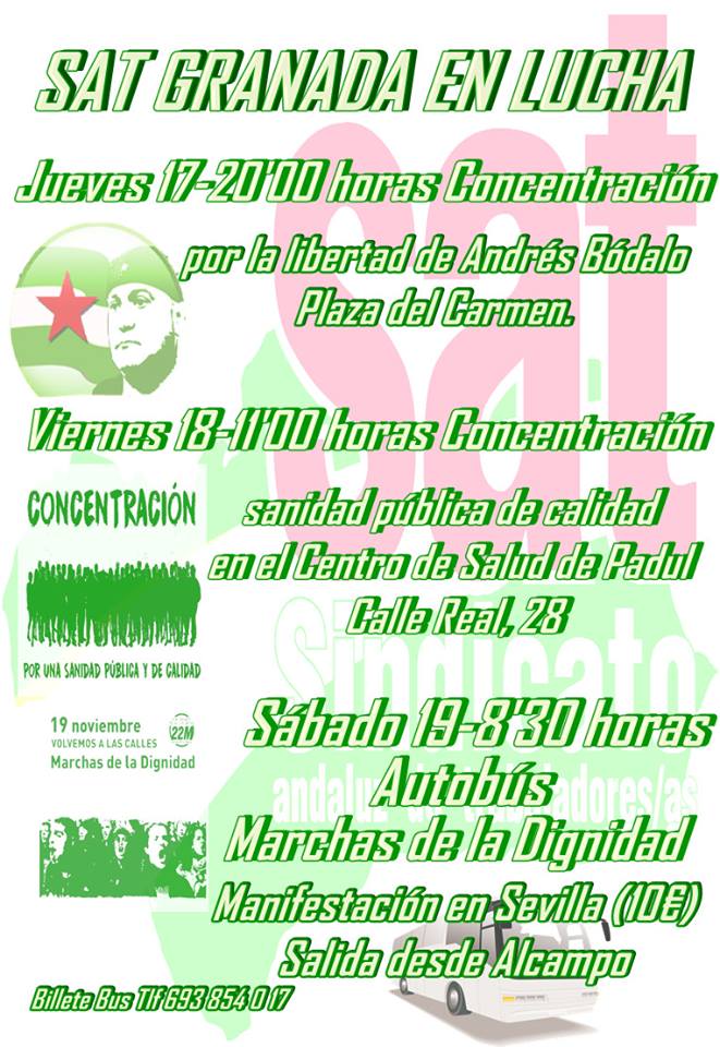 actividades-semana