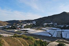 Albuñol (artículo)