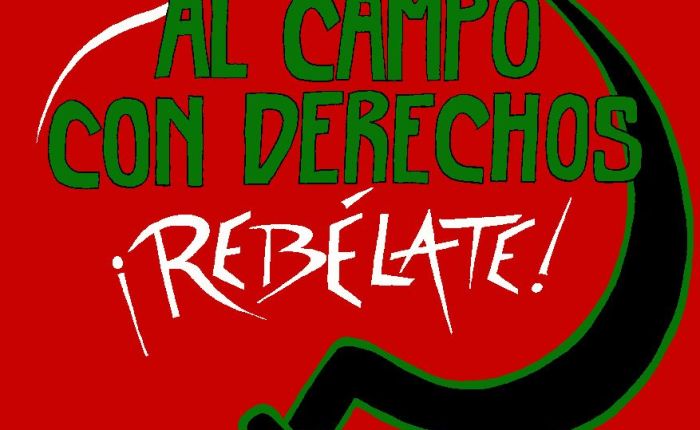 Los trabajadores del campo de Albuñol estudian la convocatoria de huelga.