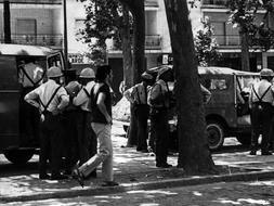 manifestacion--253x190