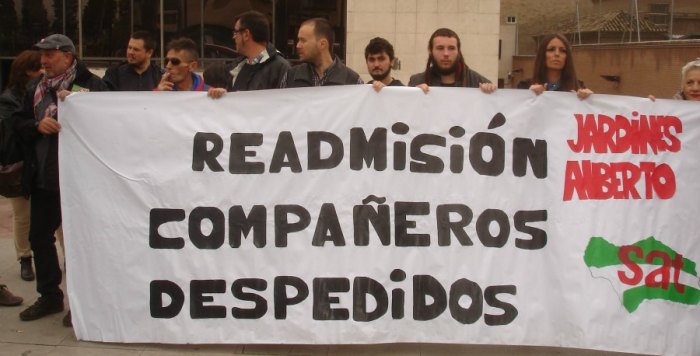 plazos durante proceso laboral