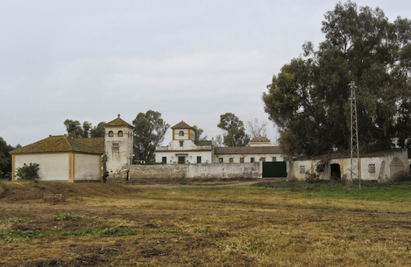Ocupación del Cortijo de Gambogaz. (Jueves 9 de agosto a las 11&nbsp;horas).