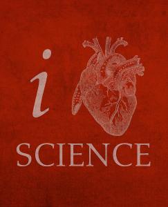 external-content.duckduckgo.com