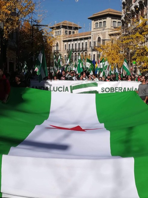 IMG-20181206-WA0067(1)