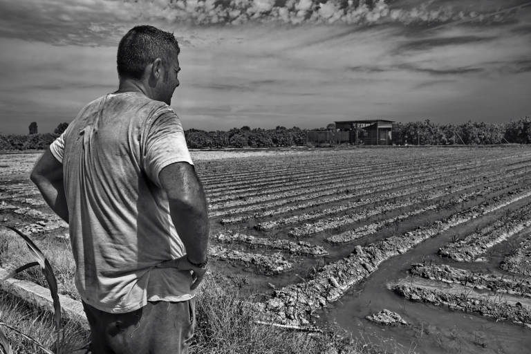 Expo-Tira-50_06_NoticiaAmpliada