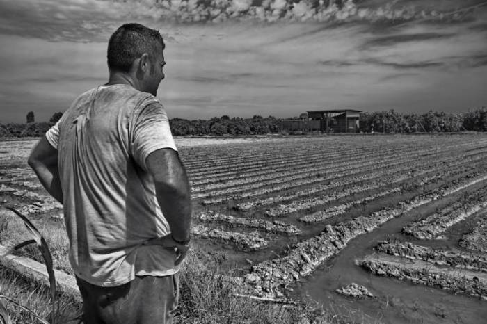 Expo-Tira-50_06_NoticiaAmpliada