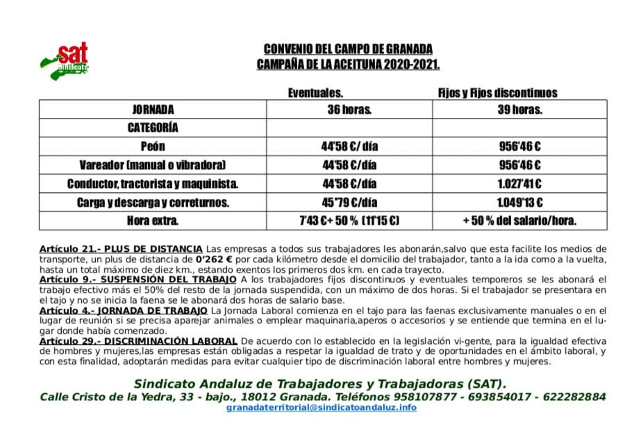 WhatsApp Image 2020-10-28 at 12.57.59