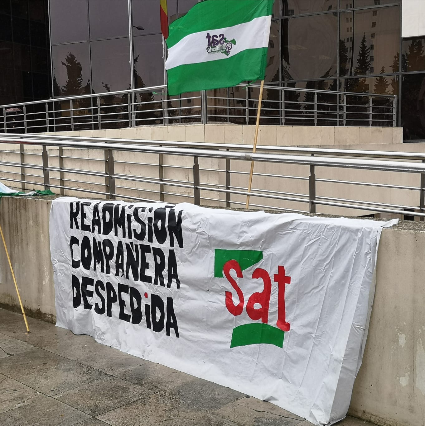 WhatsApp Image 2021-02-10 at 20.16.45