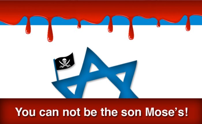 Manual del boicot a Israel (BDS): la solidaridad que demanda&nbsp;Palestina