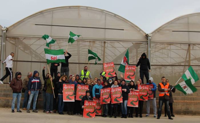 CONSTITUIDAS LAS SECCIONES SINDICALES DEL SAT EN HORTOVENTAS Y EUROCASTELL- GRUPO LA&nbsp;CAÑA.