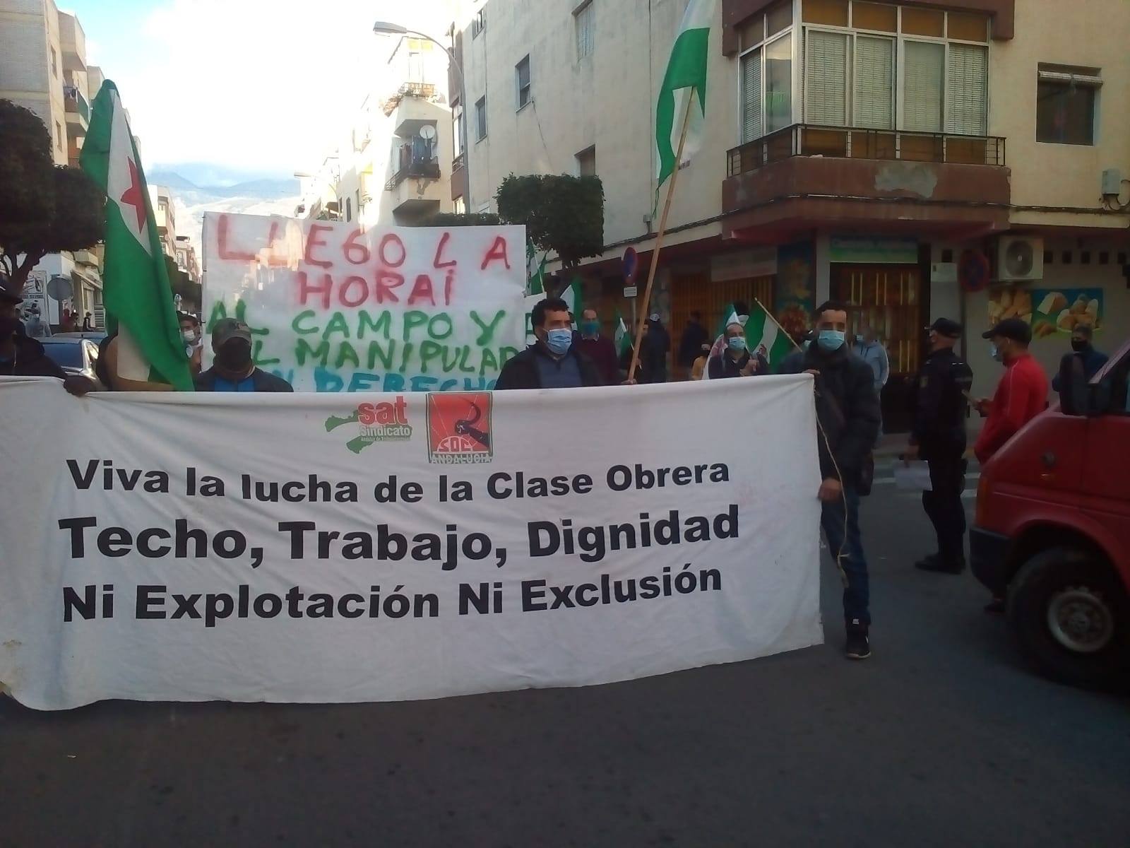 Lucha Almería