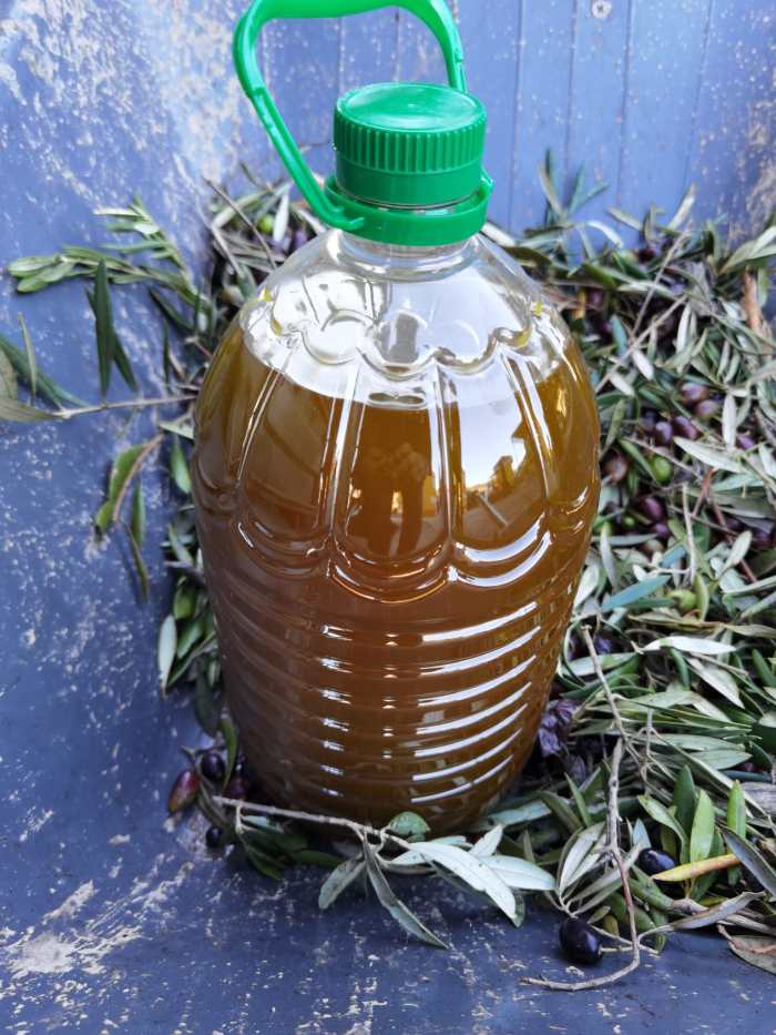 WhatsApp Image 2021-12-03 at 19.38.06