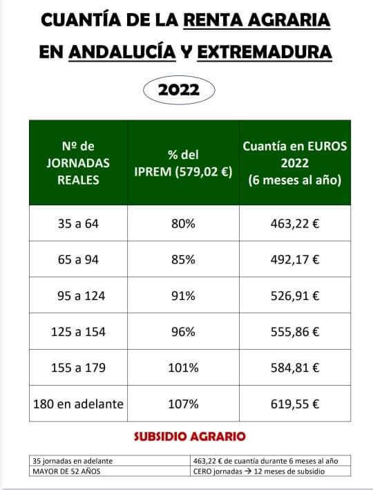 WhatsApp Image 2022-01-08 at 11.25.26