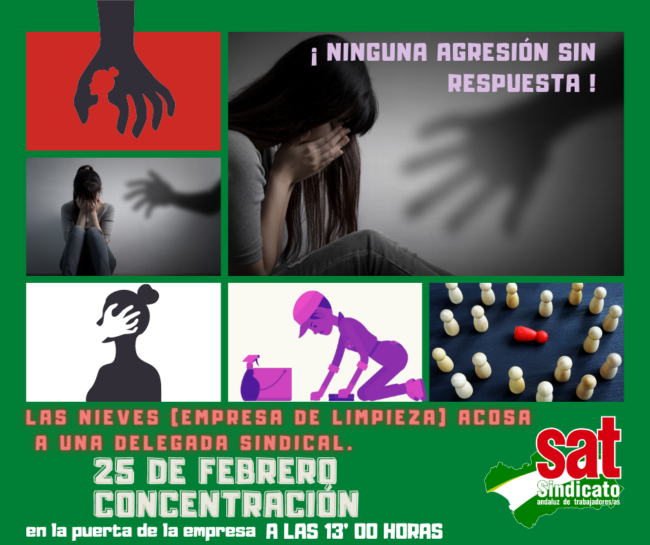 Copia de LAS NIEVES ACOSA 25 de Febrero