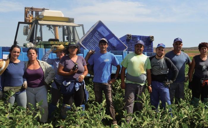 RÉGIMEN ESPECIAL AGRARIO, DUDAS FRECUENTES.