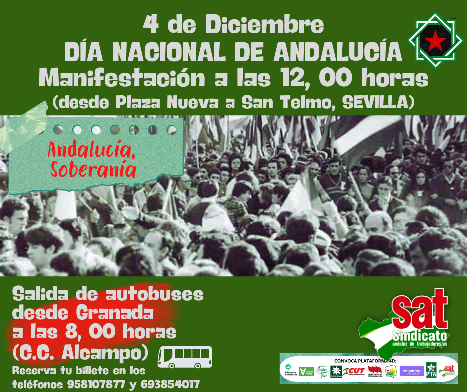 Autobuses 4D (2022)(4)