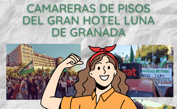 Primer Juicio Hotel Luna