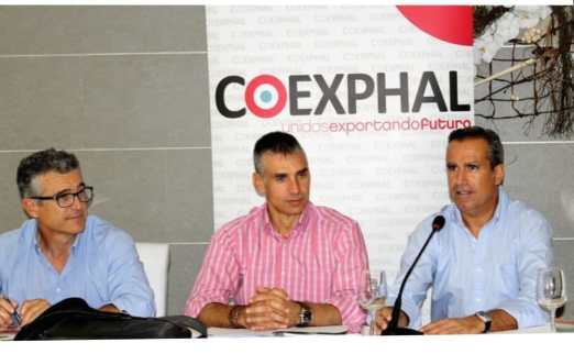 WhatsApp Image 2023-01-14 at 08.55.09(1)