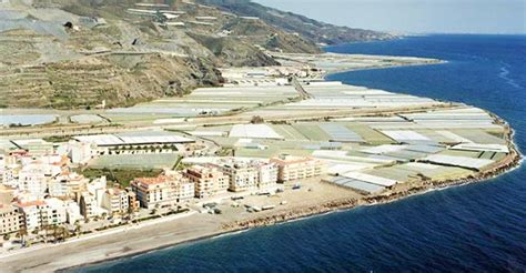 CONCENTRACIÓN Y MANIFESTACIÓN DE TRABAJADORES DEL CAMPO EN ALBUÑOL.